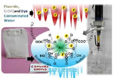 carbon and sulphur doped - nanocomposites