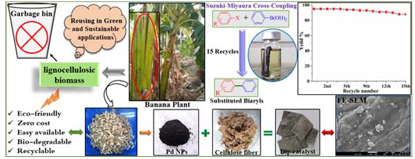 dip catalyst by utilizing bio-waste
