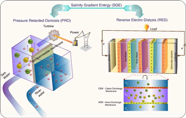 Salinity gradient induced blue energy generation using two-dimensional membranes