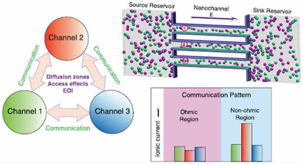 Molecular Dynamics Simulations of Communication Between Nanochannel Arrays